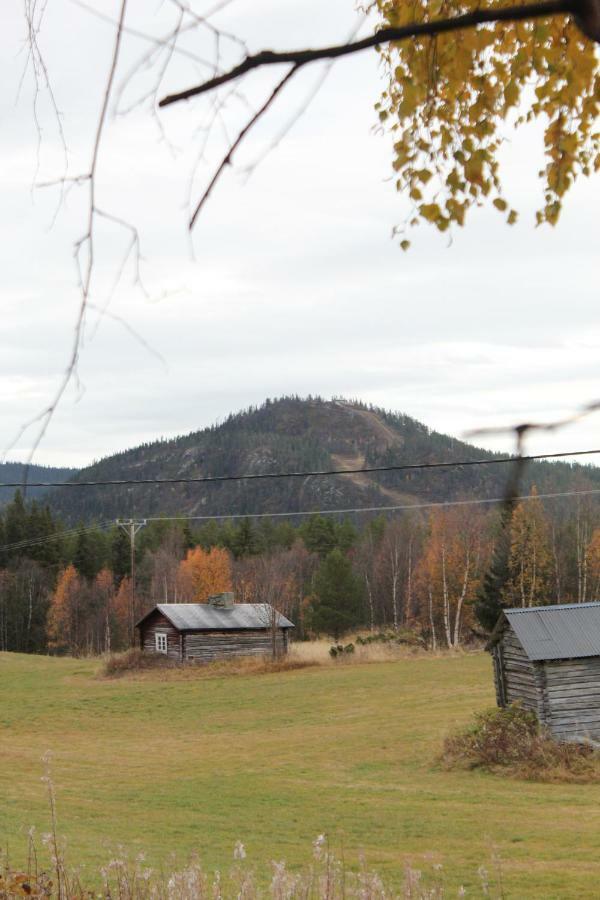 Backens Fjaellboende Tännäs Buitenkant foto
