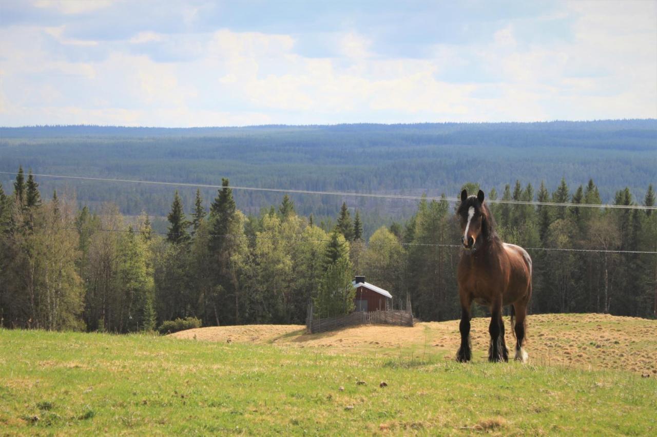 Backens Fjaellboende Tännäs Buitenkant foto